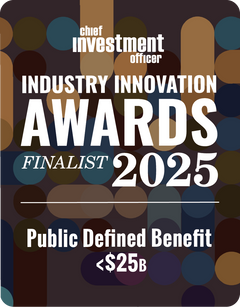 Logo: 2025 CHIEF INVESTMENT OFFICER Asset Owner: Public DB <$25B