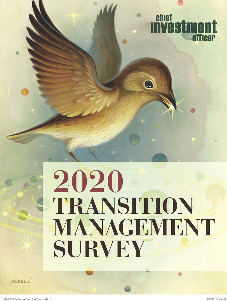2020 Transition Management Survey